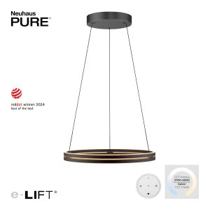Hanglamp Pure E-Loop Ø 70 cm Oak/Black Pearl
