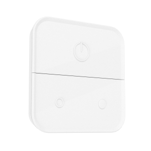 Connect.Z Wall Switch Wit
